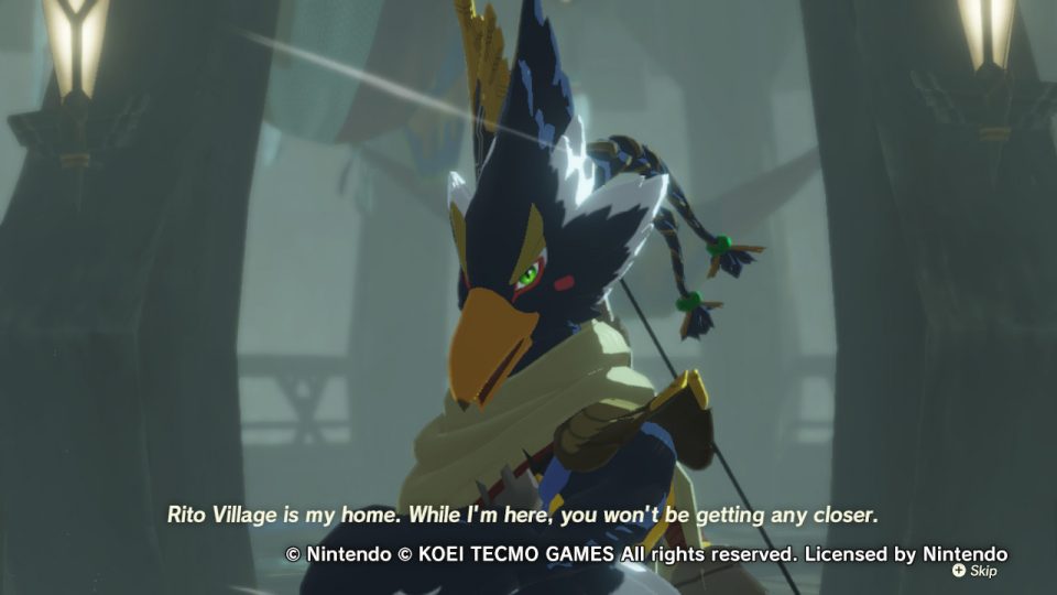 Hyrule warriors Age of Calamity. LadiesGamers