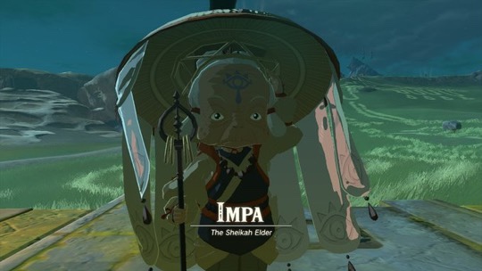 The legend of Zelda Tears of the Kingdom LadiesGamers