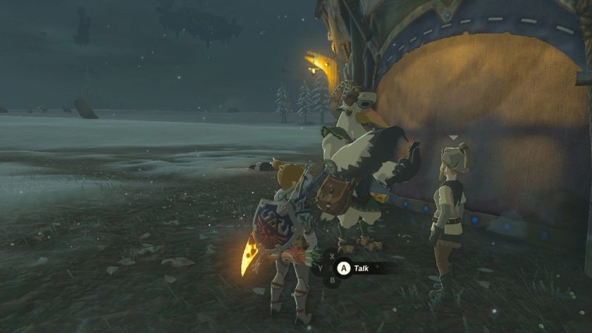 The legend of Zelda Tears of the Kingdom LadiesGamers