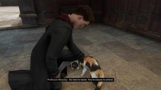 LadiesGamers petting the cat