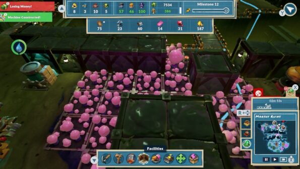 Farms grow pink shrooms