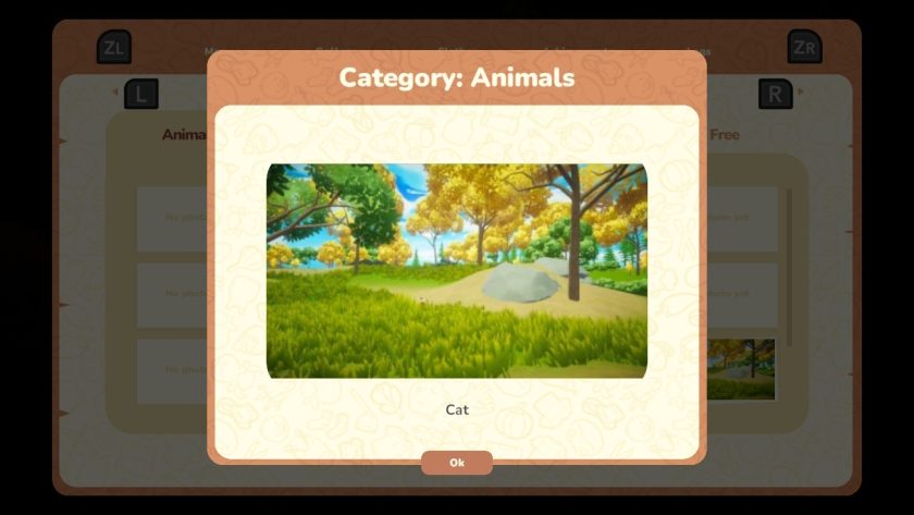 an example of the photos that are store in the Gallery