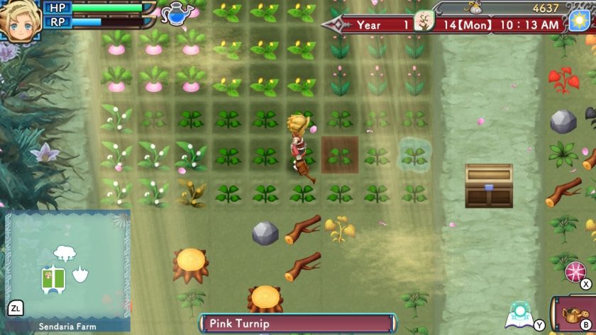 The farming field with all kinds of crops sown, like pink turnips. The protagonist is watering the field