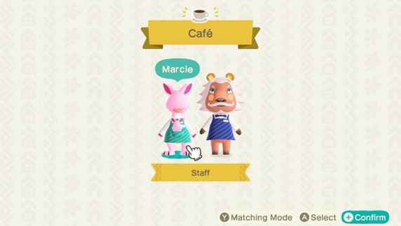 ACNH: Happy Home Paradise. LadiesGamers