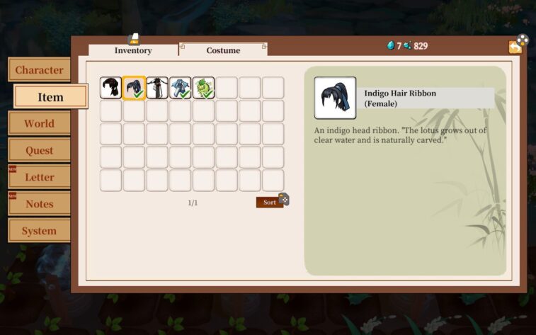 The second page of the Item tab shows the costume inventory