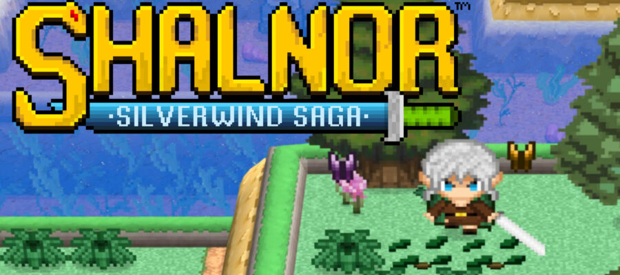 Shalnor: Silverwind Saga the hero and her sword