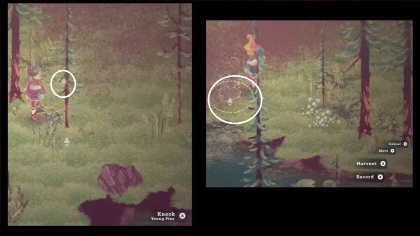 Photomontage of finding treasure, with white circles highlighting the treasure locations.