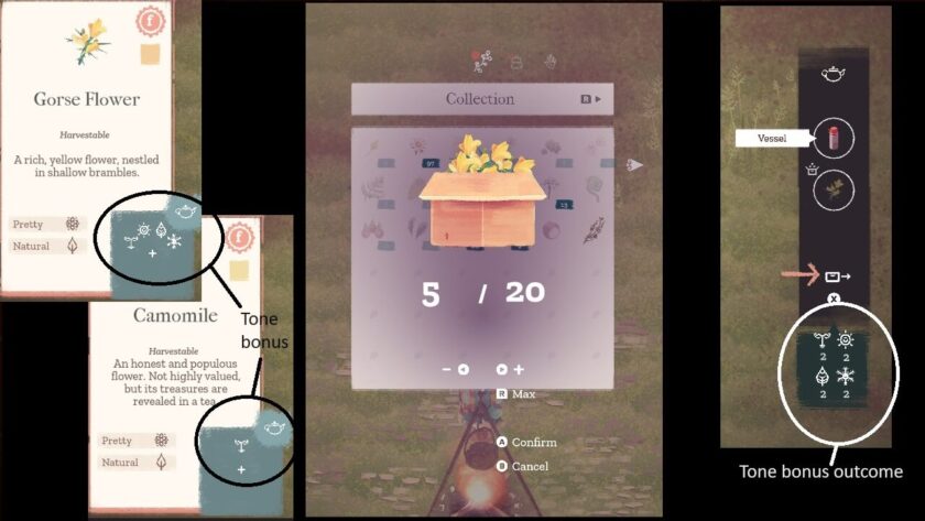 Photomontage of selecting the plants to use in the tea brewing process, highlighting the tone bonus.