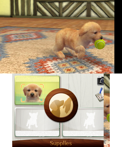 Nintendogs-Cats-Golden-Retriever